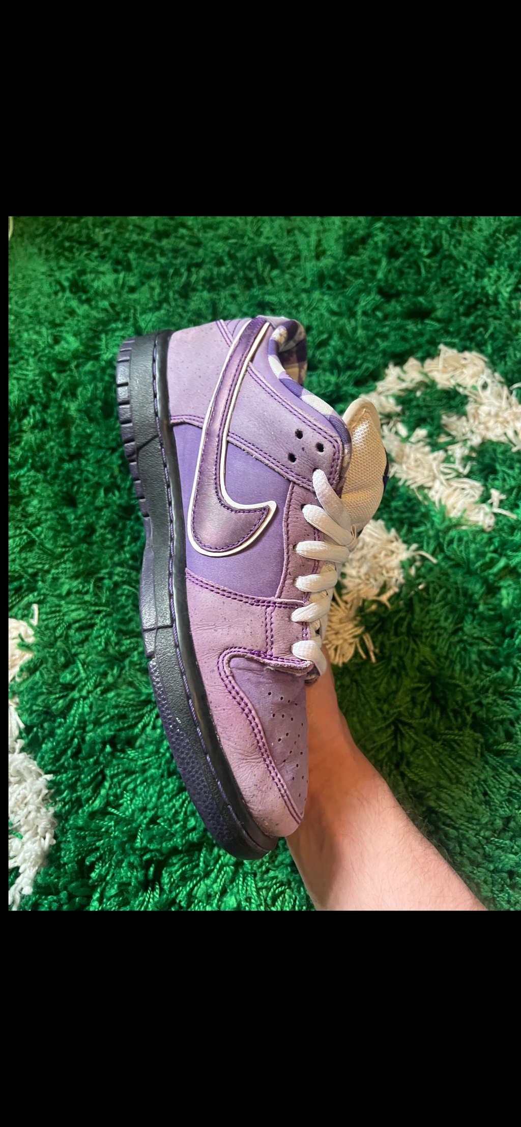 Nike SB Dunk Low Concepts Purple Lobster (Pre-Owned 9M)