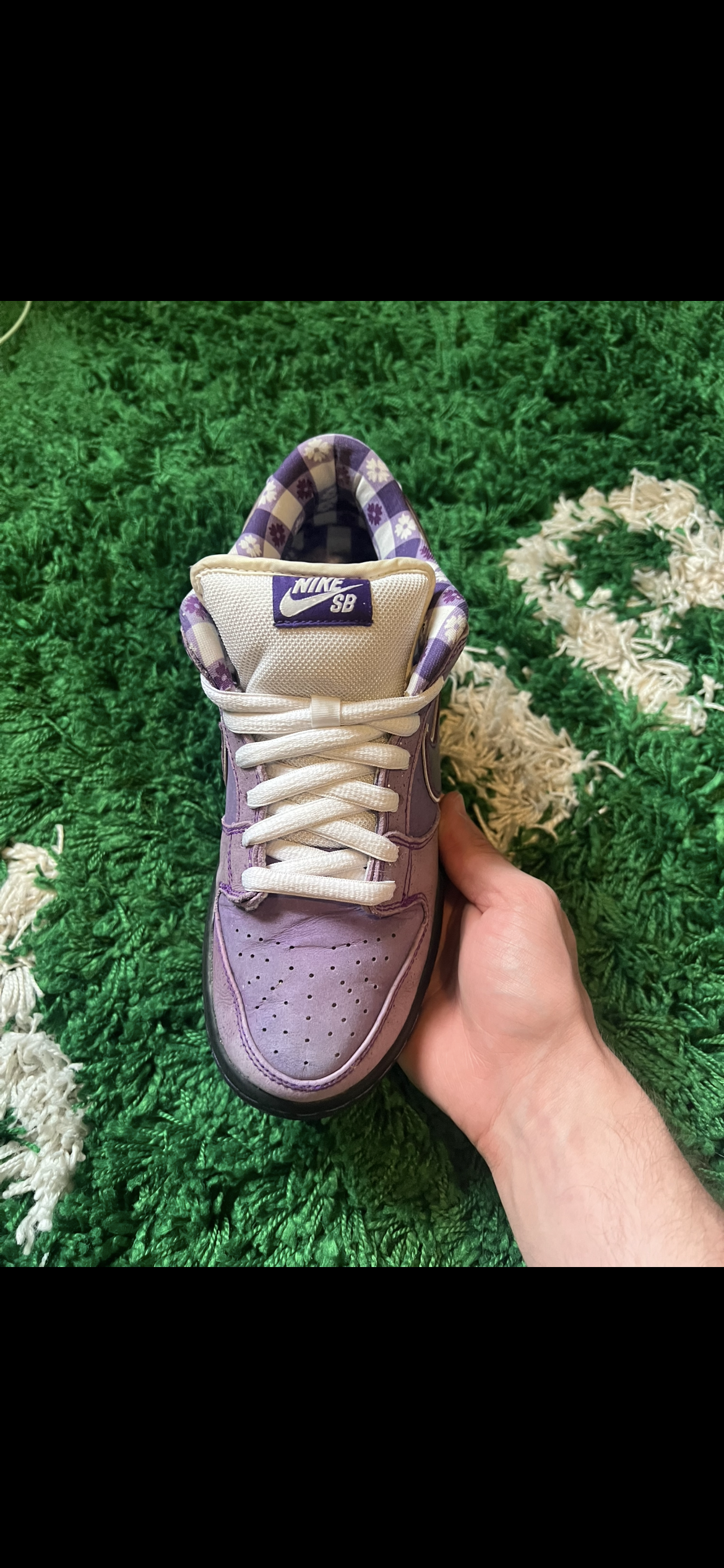 Nike SB Dunk Low Concepts Purple Lobster (Pre-Owned 9M)