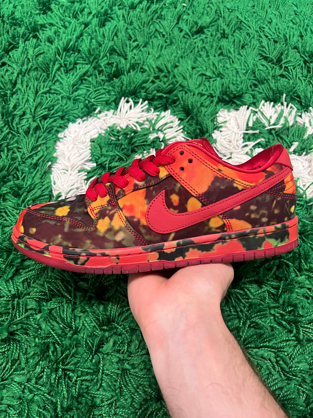 Nike SB Dunk Low The Wizard of Oz Poppy Field (Preowned 8M)