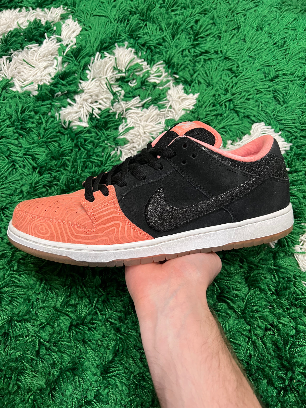 Nike SB Dunk Low Premier Fish Ladder