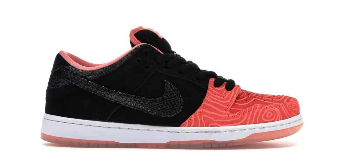 Nike SB Dunk Low Premier Fish Ladder