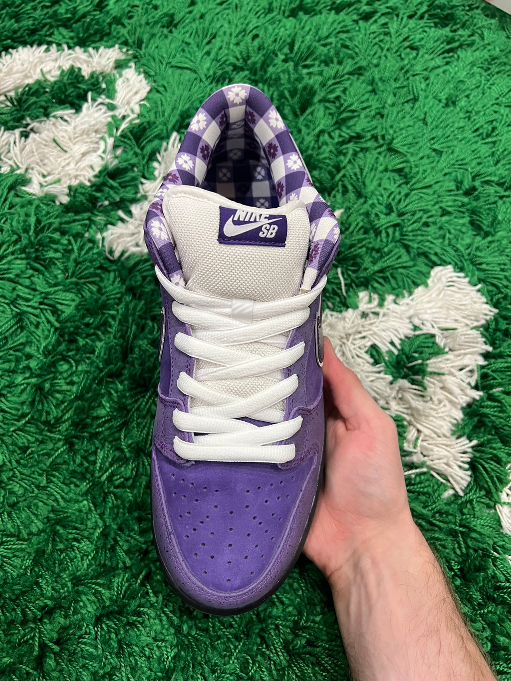 Nike SB Dunk Low Concepts Purple Lobster (Preowned 10.5M)