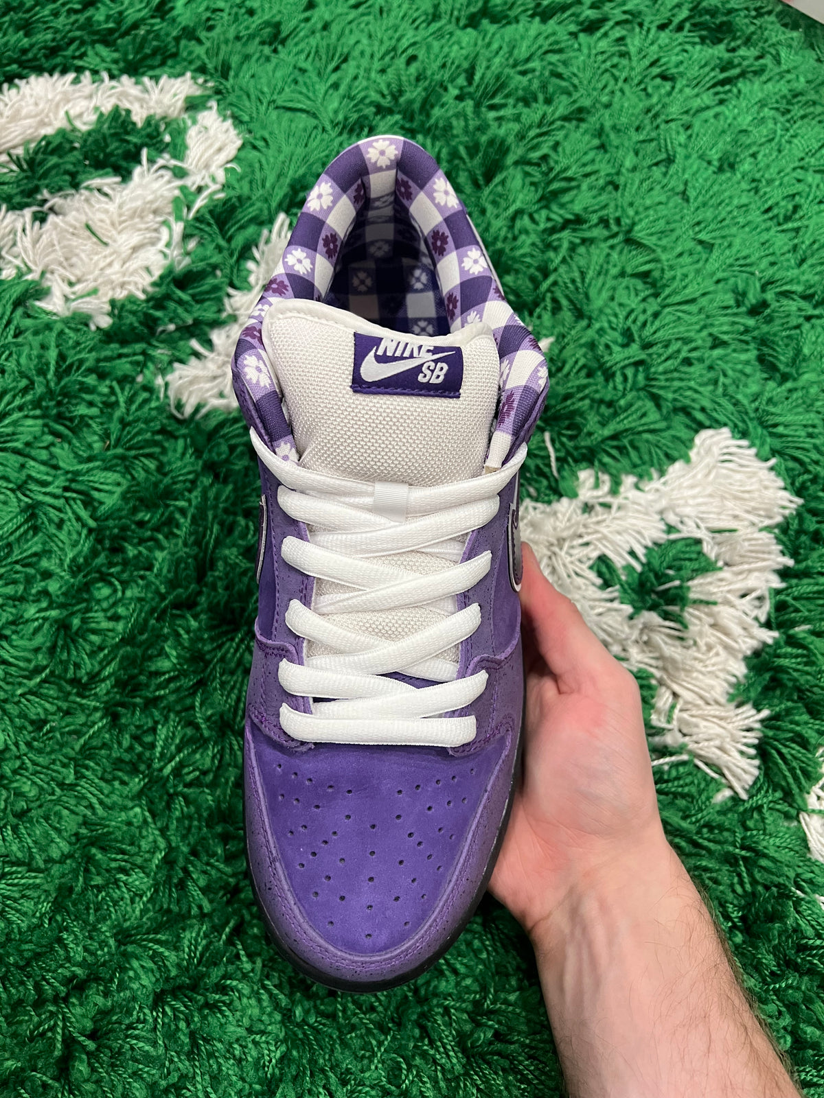 Nike SB Dunk Low Concepts Purple Lobster (Preowned 10.5M)