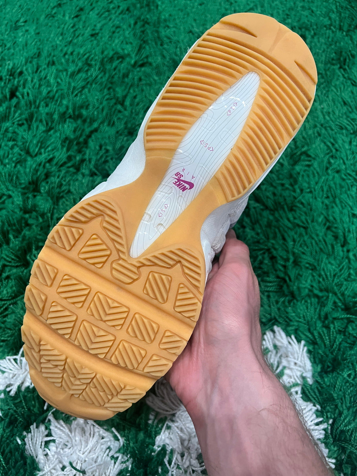 Nike Air Max 95 SB Cactus Flower (Pre-Owned 10M)