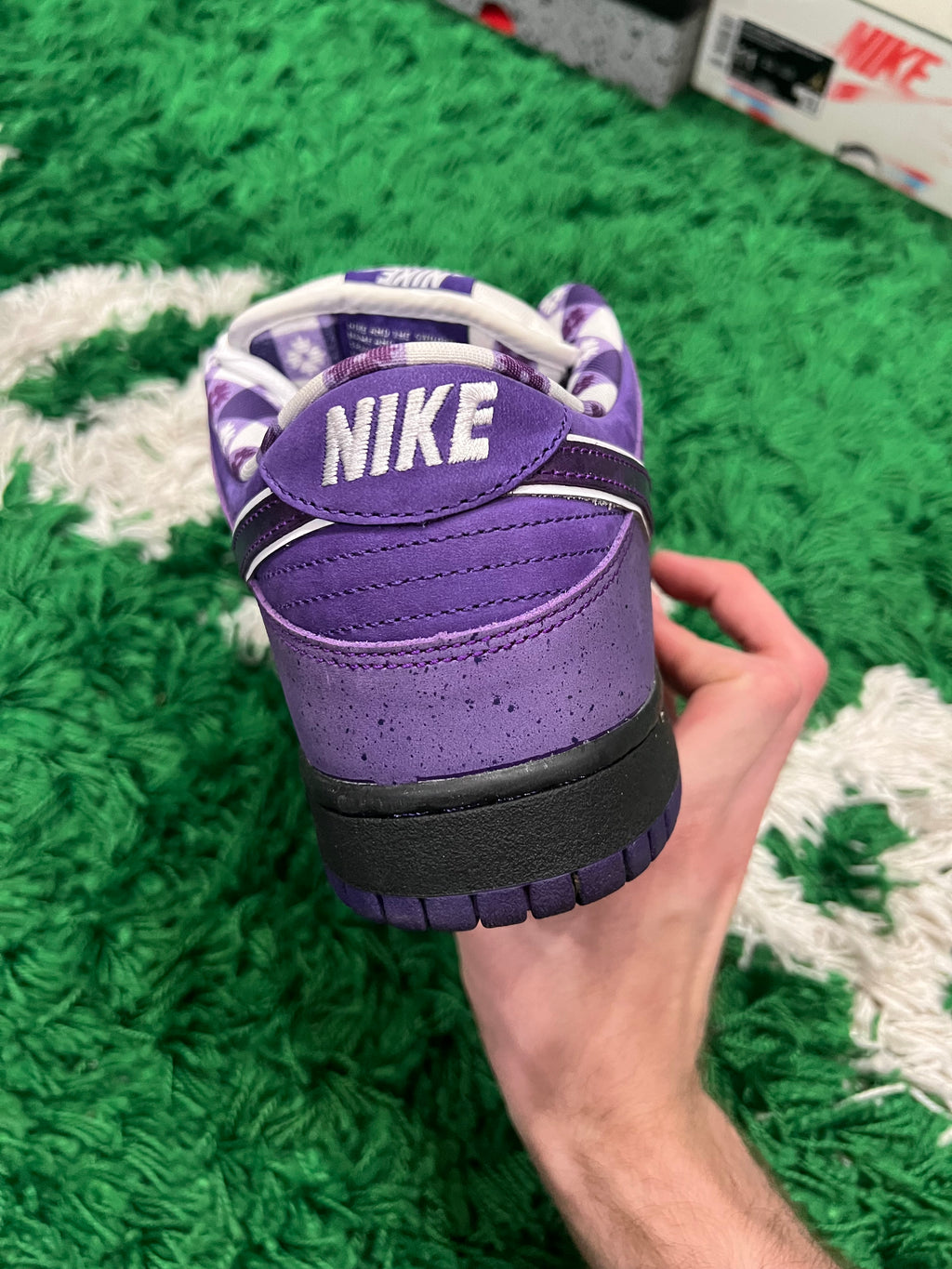 Nike SB Dunk Low Concepts Purple Lobster (Preowned 10.5M)