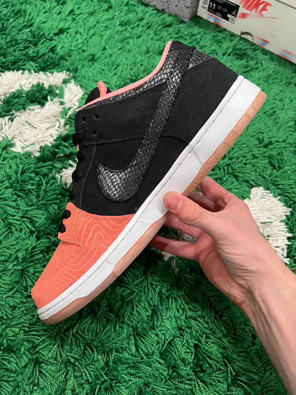Nike SB Dunk Low Premier Fish Ladder