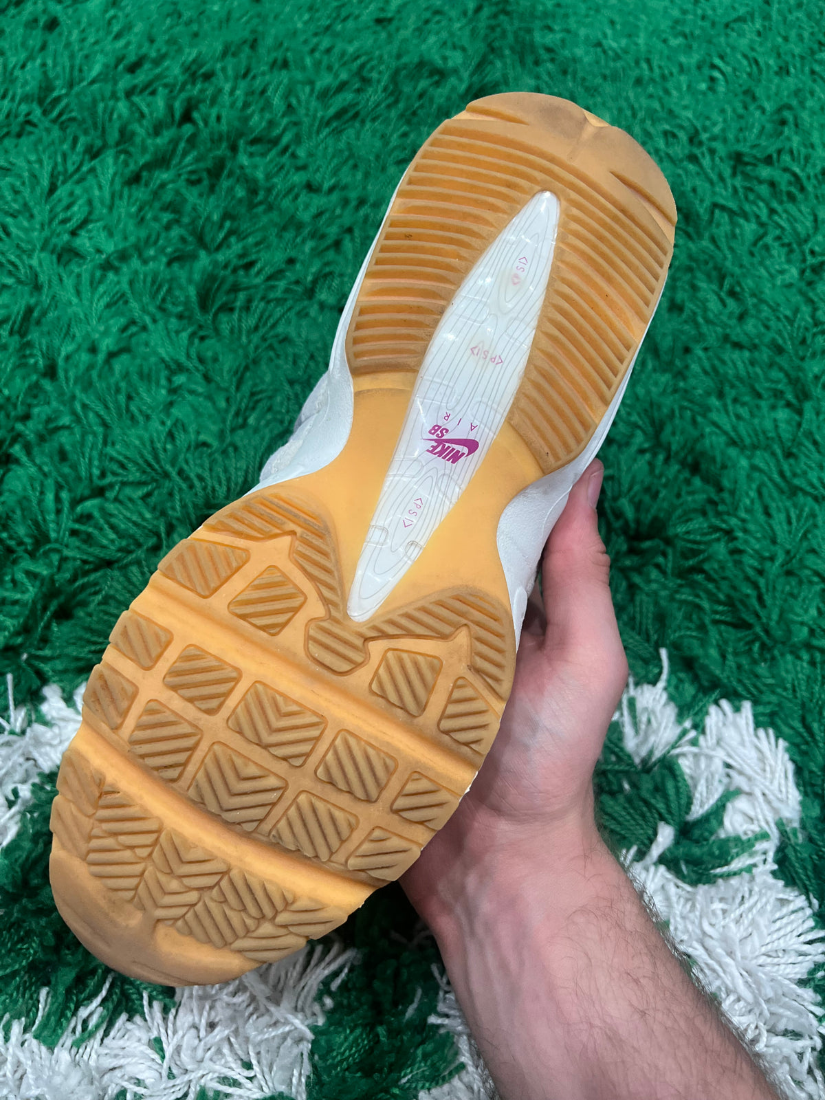 Nike Air Max 95 SB Cactus Flower (Pre-Owned 9M)