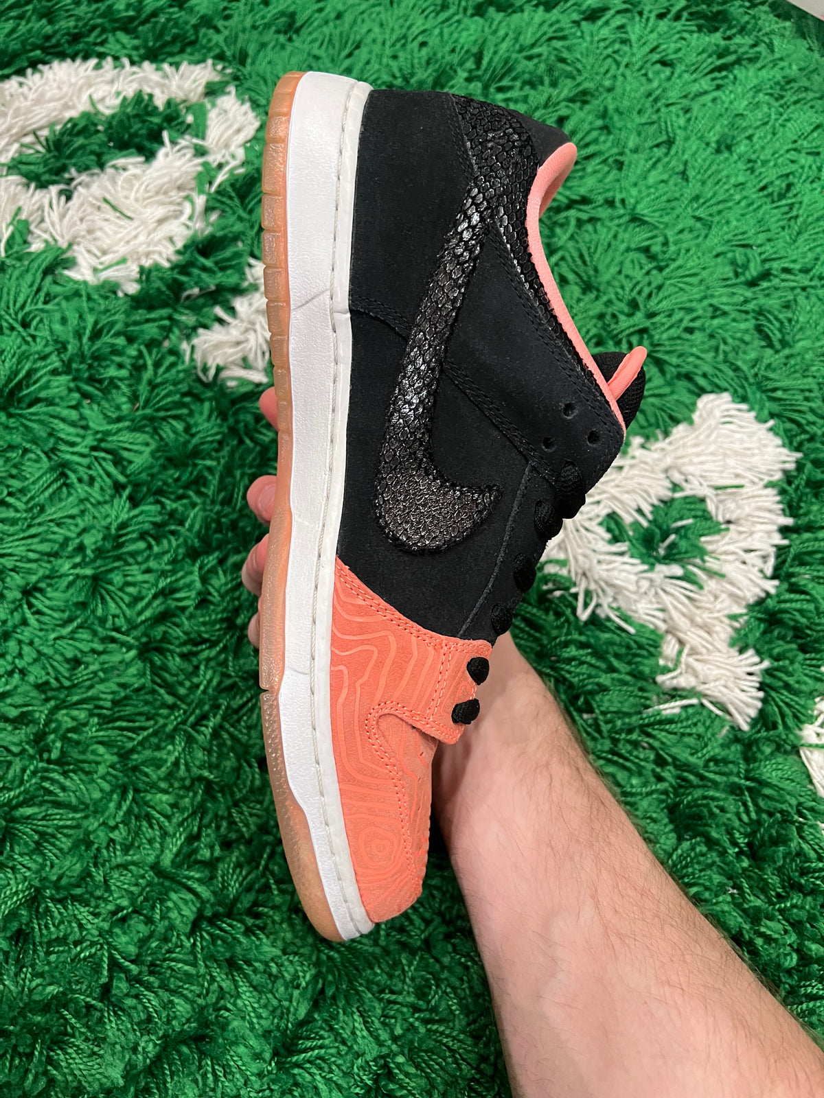 Nike SB Dunk Low Premier Fish Ladder