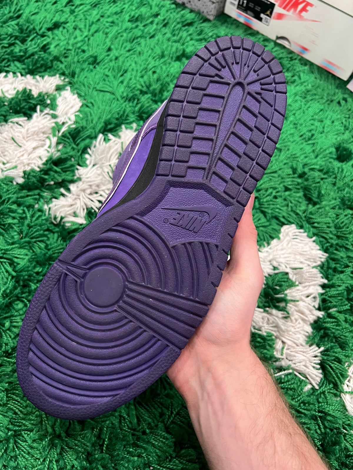 Nike SB Dunk Low Concepts Purple Lobster (Preowned 10.5M)