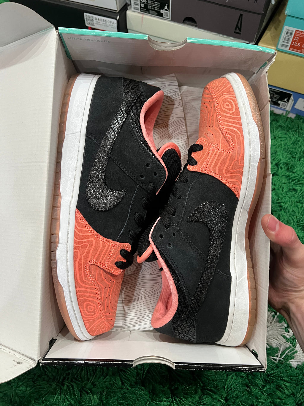 Nike SB Dunk Low Premier Fish Ladder