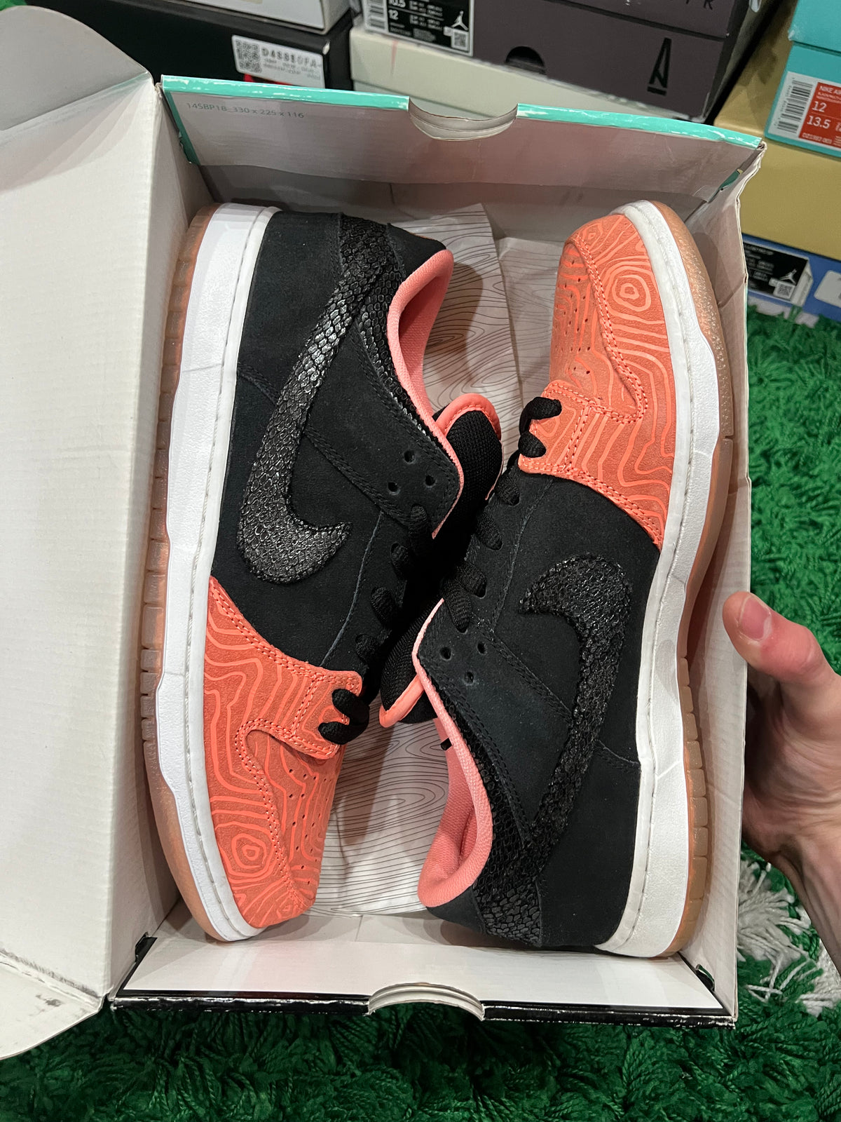 Nike SB Dunk Low Premier Fish Ladder