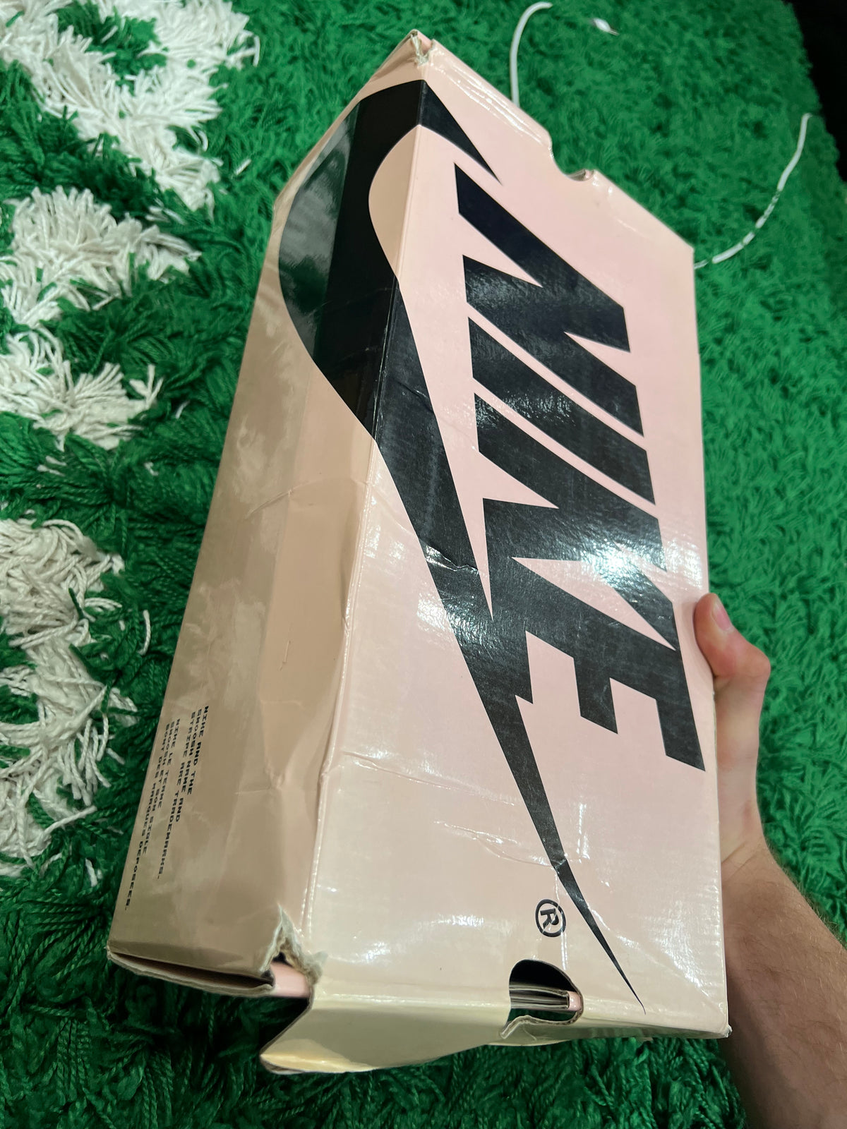 Nike SB Dunk Low Raygun (Preowned 9.5M)