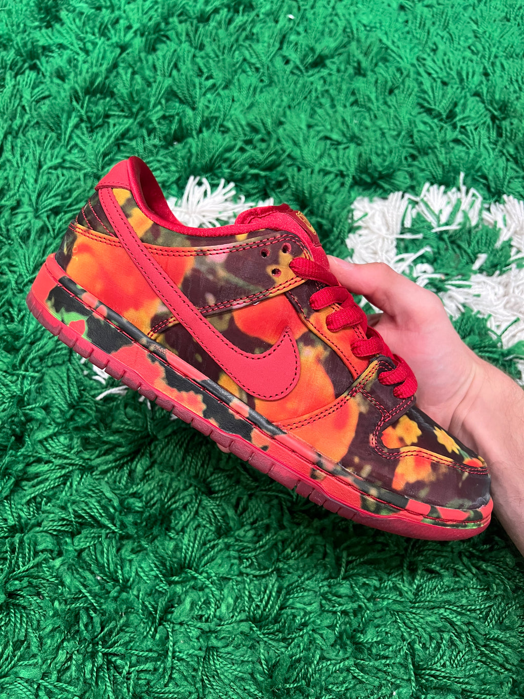 Nike SB Dunk Low The Wizard of Oz Poppy Field (Preowned 8M)