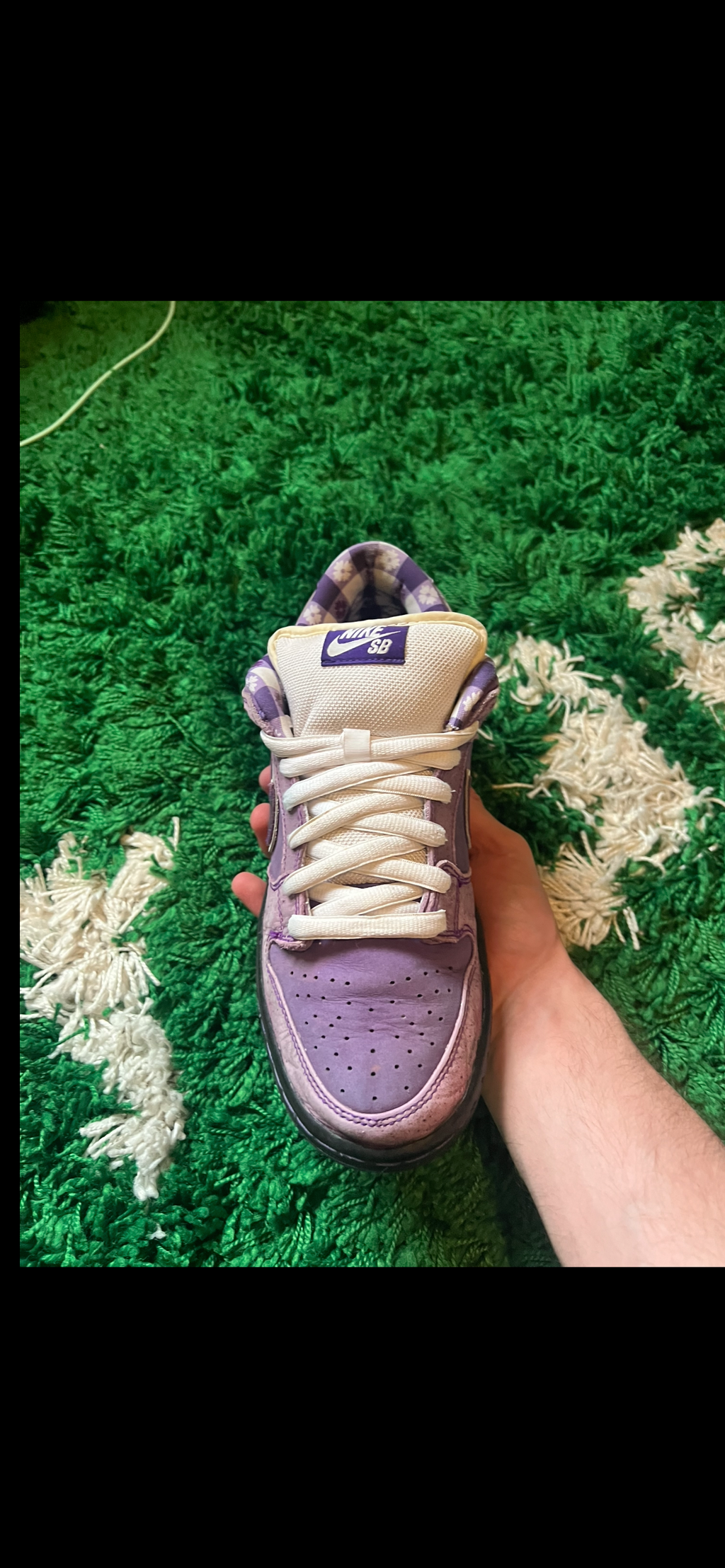 Nike SB Dunk Low Concepts Purple Lobster (Pre-Owned 9M)