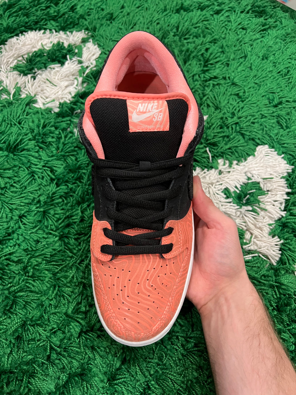 Nike SB Dunk Low Premier Fish Ladder