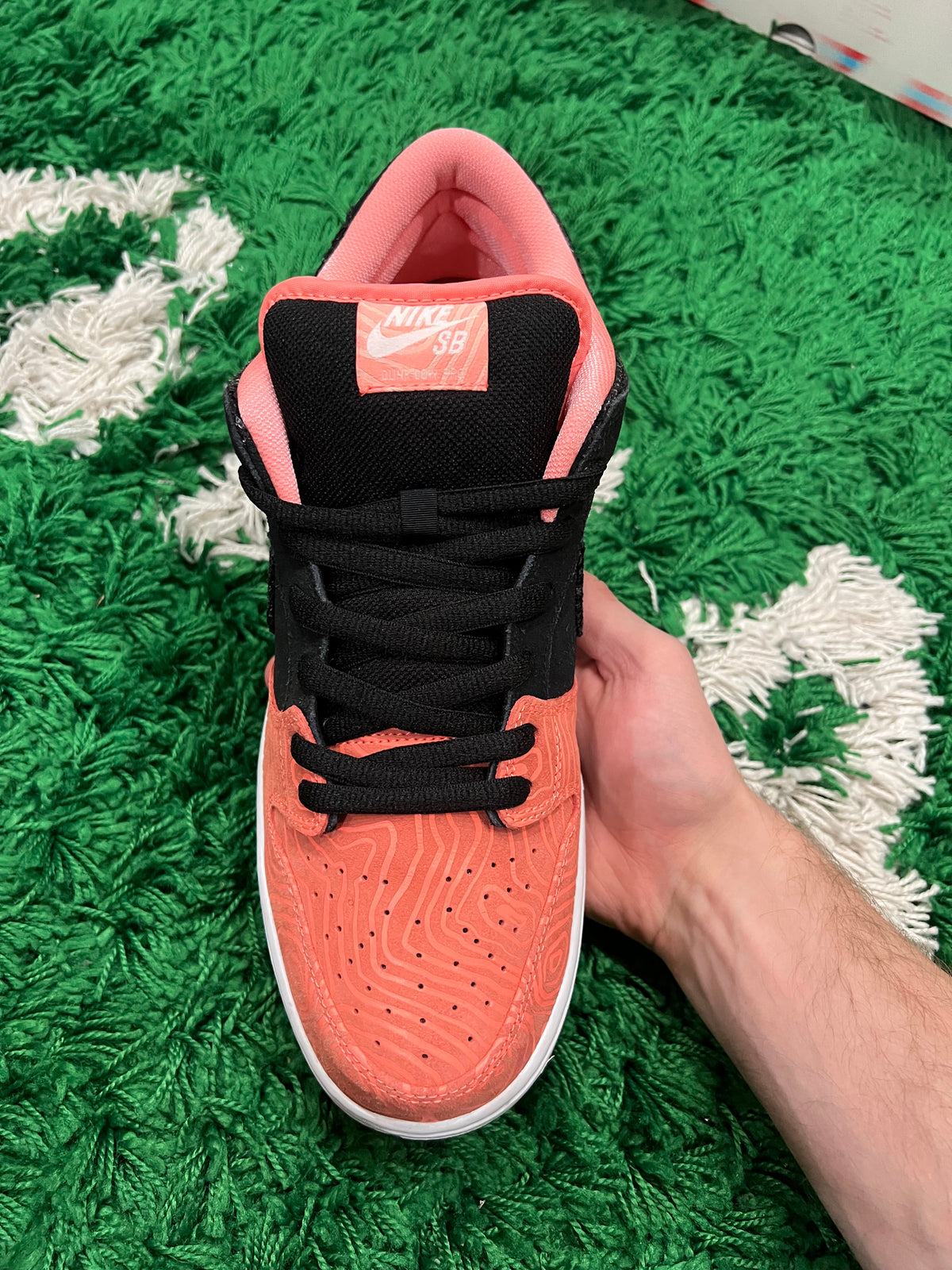 Nike SB Dunk Low Premier Fish Ladder
