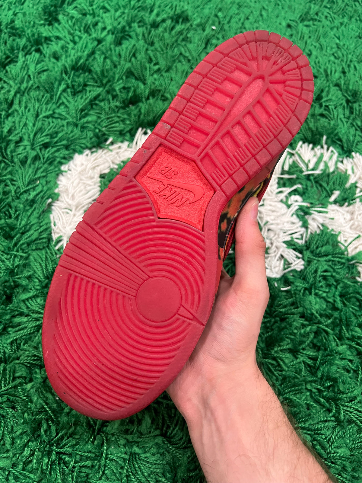 Nike SB Dunk Low The Wizard of Oz Poppy Field (Preowned 8M)