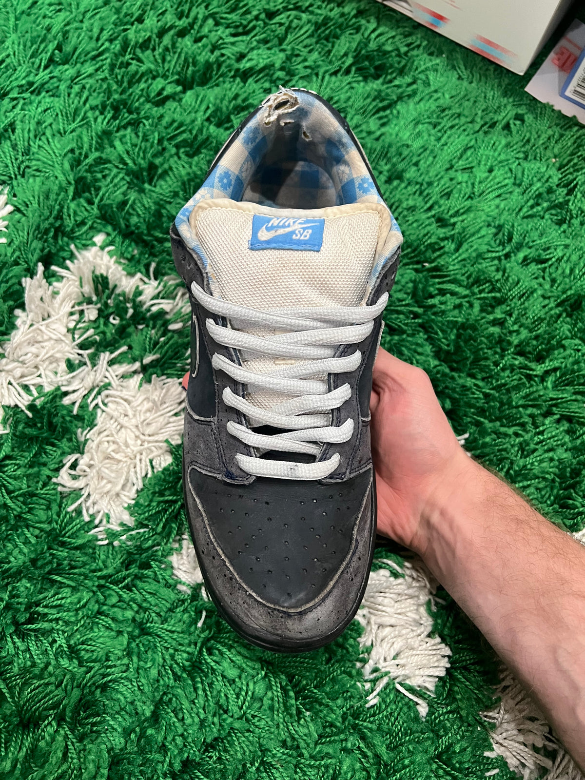 Nike SB Dunk Low Concepts Blue Lobster (Preowned 10.5M)