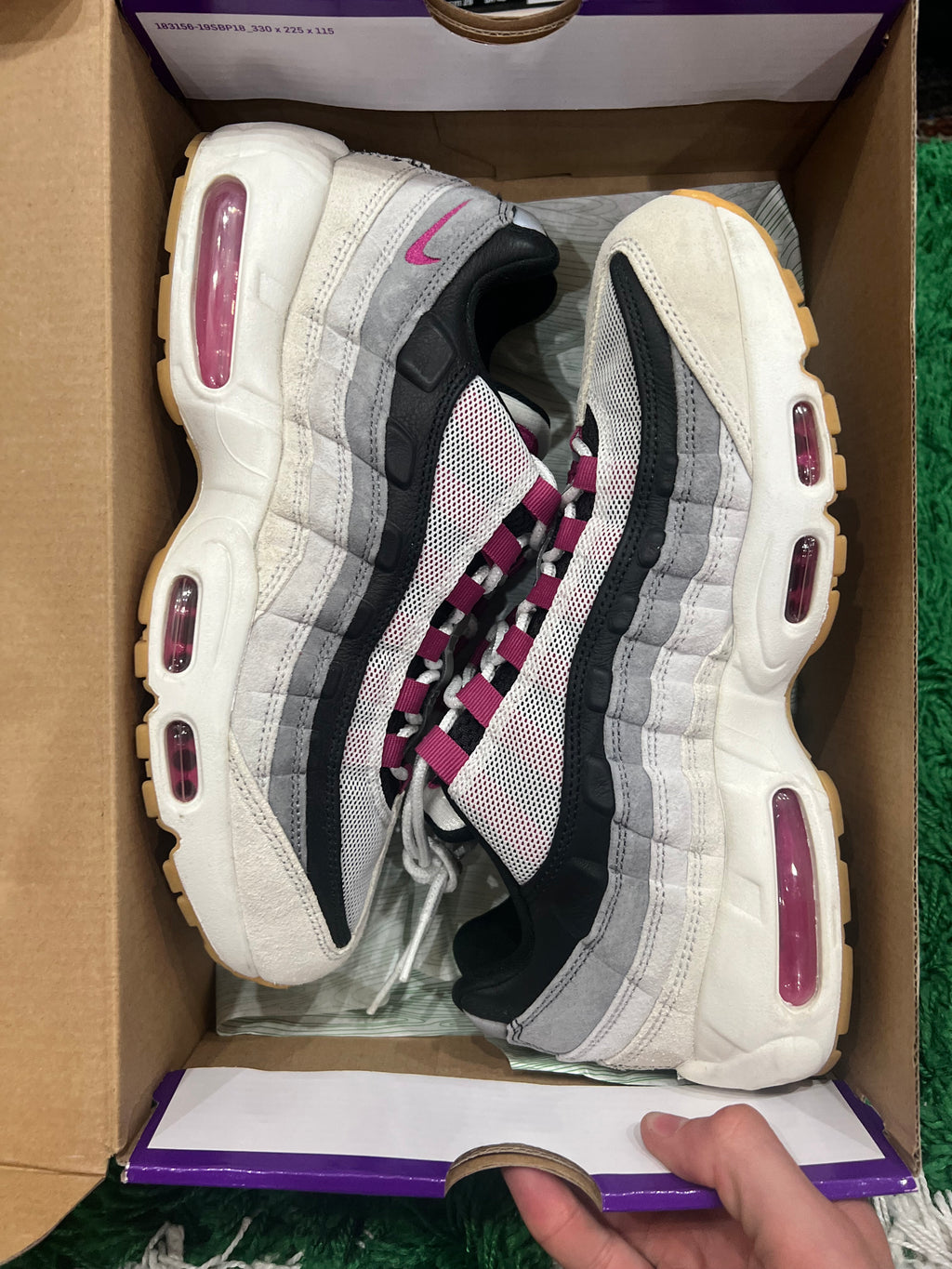 Nike Air Max 95 SB Cactus Flower (Pre-Owned 9M)