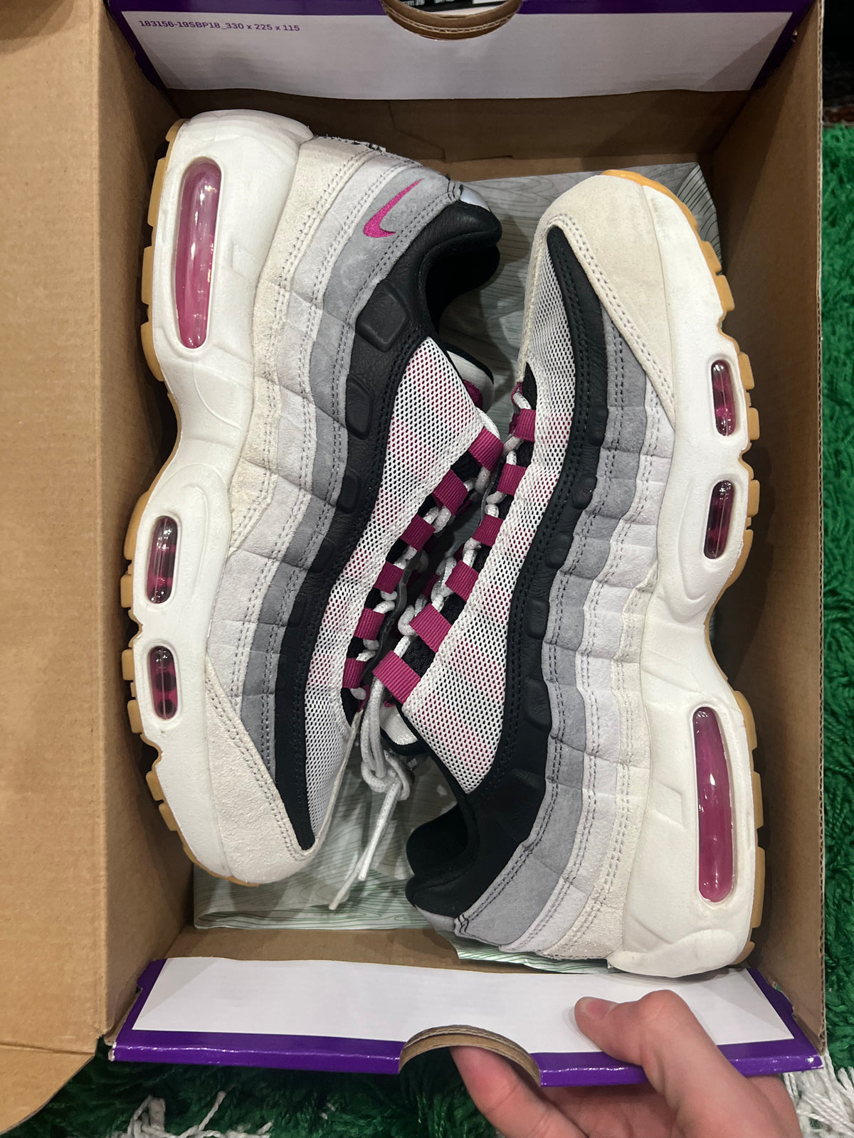 Nike Air Max 95 SB Cactus Flower (Pre-Owned 9M)